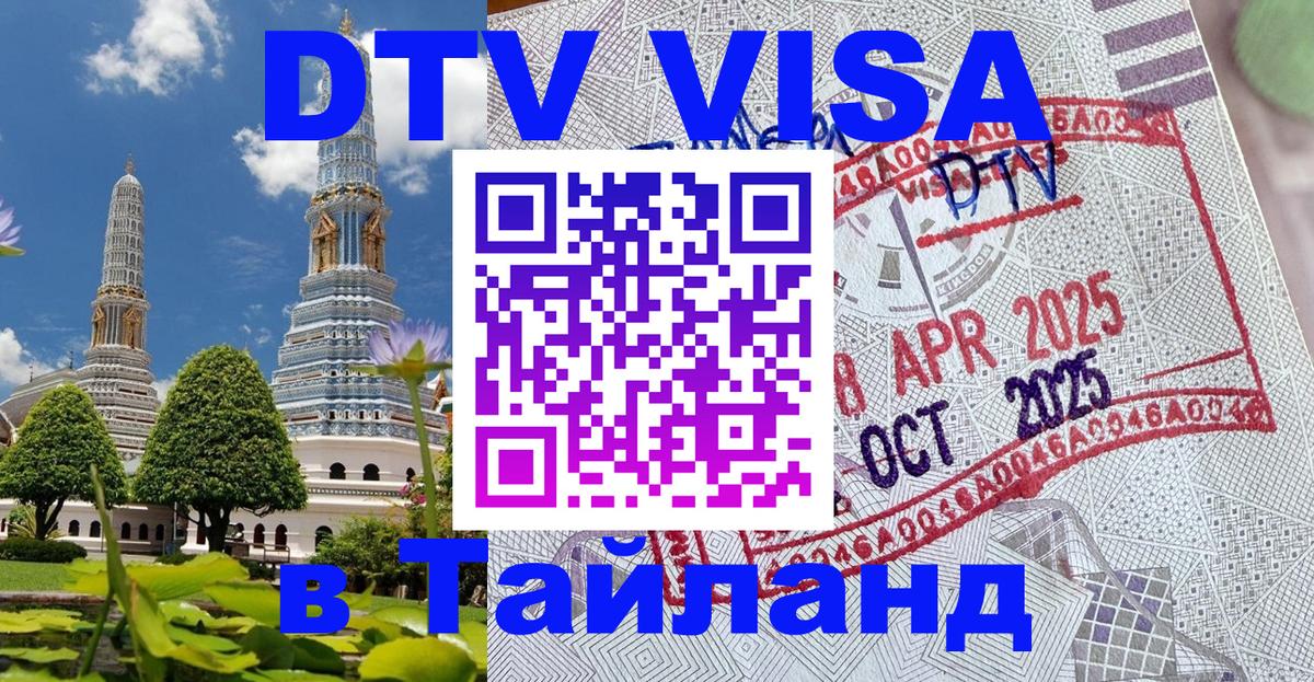Сколько стоит DTV виза — актуальные цены, оформление даже без документов - 